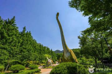 고산골 여행 추천 - 메고지고