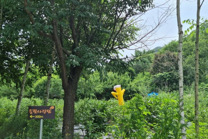 인제 냇강마을 여행 추천 - 메고지고