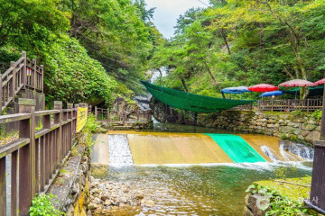 구례 산수유마을 여행 추천 - 메고지고