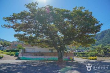 억불산 여행 추천 - 메고지고