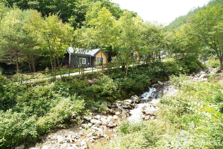 도사곡휴양림 여행 추천 - 메고지고