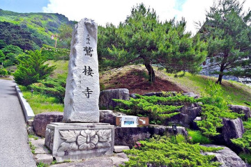 서벽금강소나무숲 여행 추천 - 메고지고