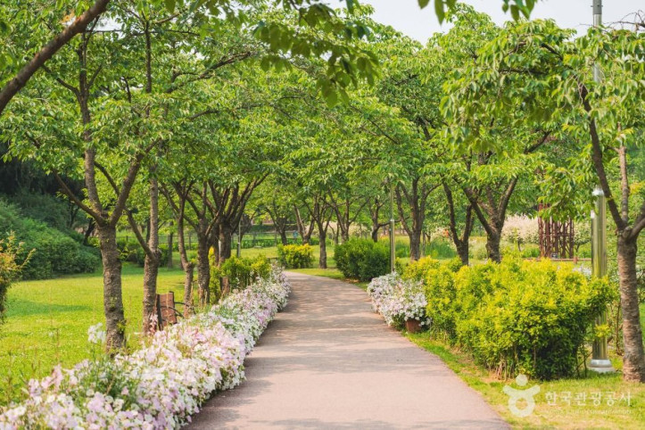 용산가족공원 여행 추천 - 메고지고