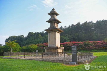 도계서원 여행 추천 - 메고지고