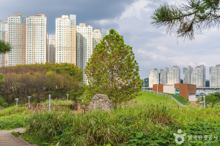 지산체육공원 여행 추천 - 메고지고