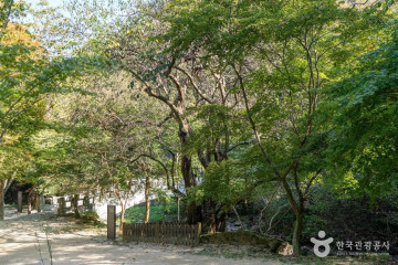 강천산휴양농원 여행 추천 - 메고지고