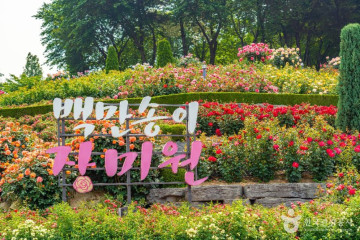 도당공원 여행 추천 - 메고지고