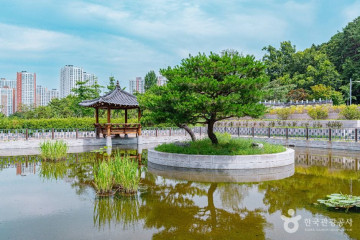자일산림욕장 여행 추천 - 메고지고
