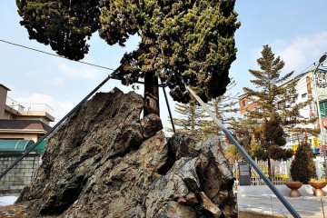 광주 곤지암도자공원 여행 추천 - 메고지고