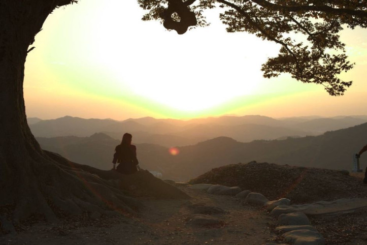 성흥산 사랑나무 여행 추천 - 메고지고