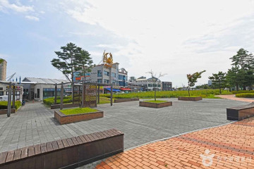 대포항 전망대 여행 추천 - 메고지고