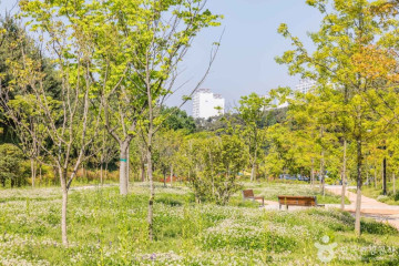 금호지 여행 추천 - 메고지고