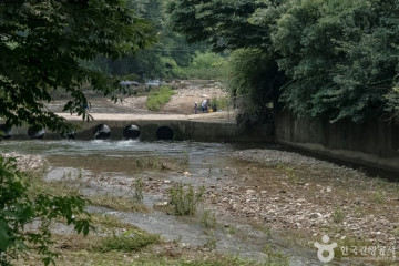 침강저류지 여행 추천 - 메고지고