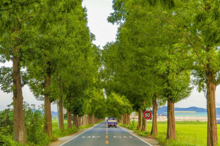 죽동마을 여행 추천 - 메고지고