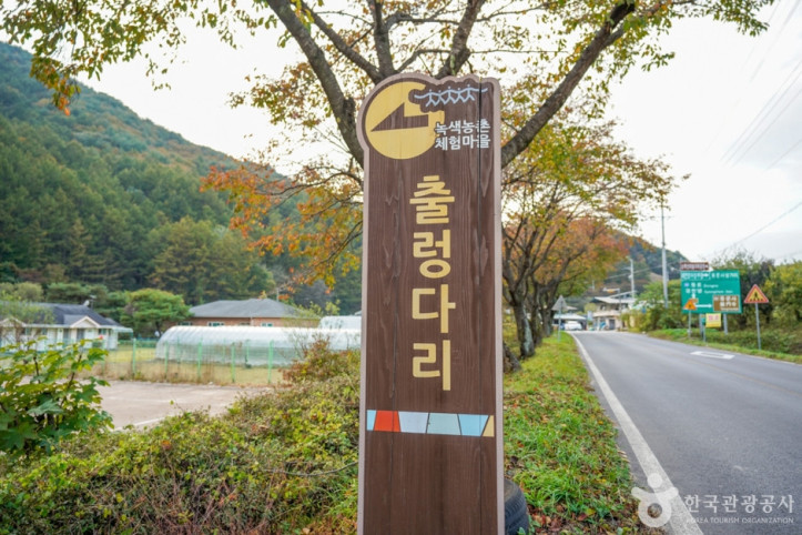예천 출렁다리마을 여행 추천 - 메고지고