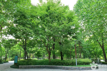 대현산배수지공원·대현산배수지공원 모노레일 여행 추천 - 메고지고