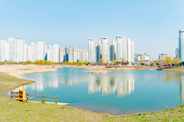 배곧생명공원 여행 추천 - 메고지고