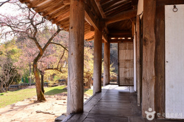 환벽당 ·조대 여행 추천 - 메고지고