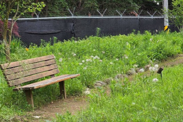 동편마을 카페거리 여행 추천 - 메고지고