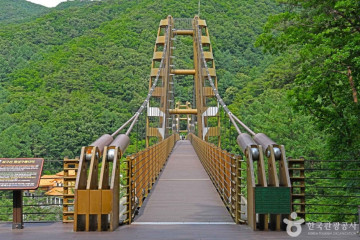 증평 좌구산 명상구름다리 여행 추천 - 메고지고