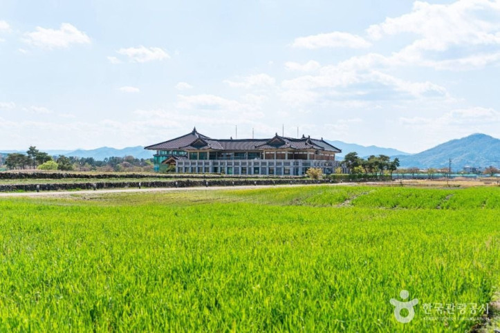 분황사 청보리밭 여행 추천 - 메고지고