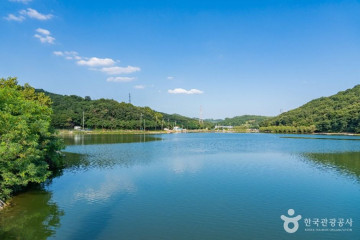배곧생명공원 여행 추천 - 메고지고