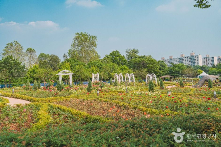 용산가족공원 여행 추천 - 메고지고