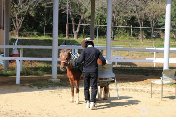 고령안화리암각화 여행 추천 - 메고지고