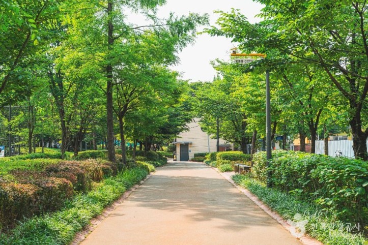 황금내근린공원 여행 추천 - 메고지고