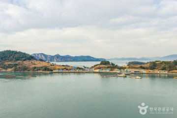 금당도 여행 추천 - 메고지고