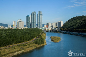 태화강 전망대 여행 추천 - 메고지고
