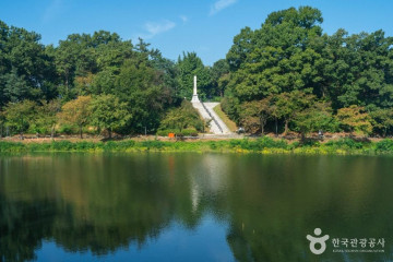 충주 시민의 숲 여행 추천 - 메고지고