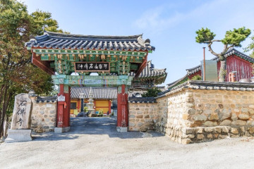 PTP애견테마파크 여행 추천 - 메고지고