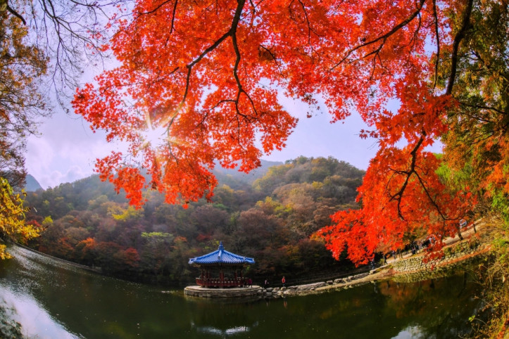 우화정(내장산) 여행 추천 - 메고지고