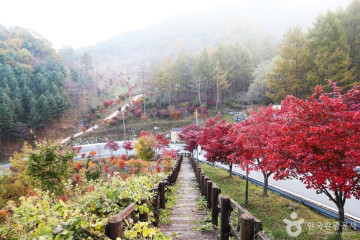 하미앙 와인밸리 여행 추천 - 메고지고