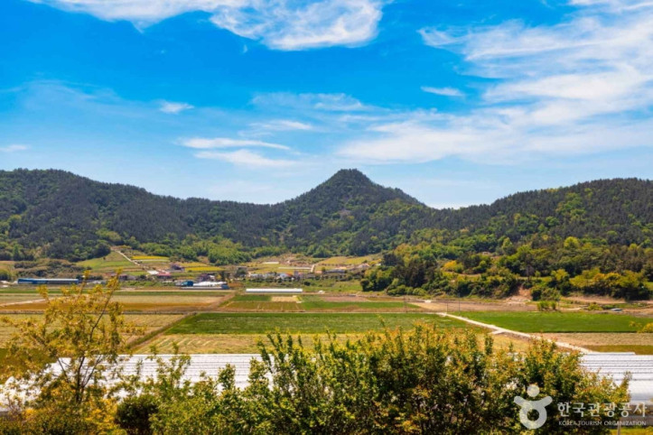 선학동 마을 여행 추천 - 메고지고