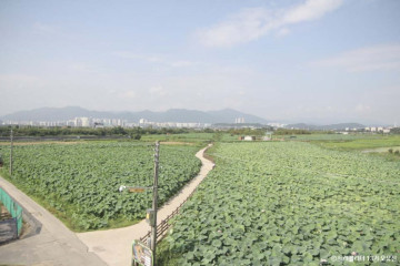 고산서당 여행 추천 - 메고지고