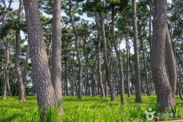 울산시립어린이테마파크 여행 추천 - 메고지고