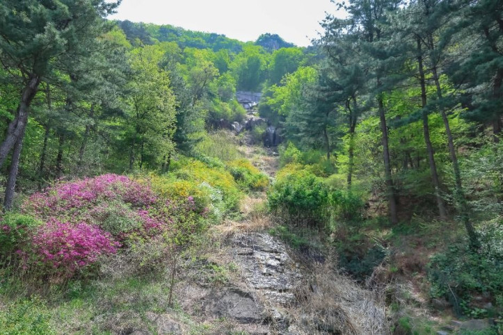 [서울둘레길 12코스] 호암산코스 여행 추천 - 메고지고