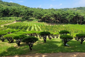 대부도 방아머리 음식문화거리 여행 추천 - 메고지고