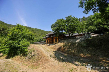 대구 세천늪테마정원 여행 추천 - 메고지고
