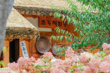 공작산 여행 추천 - 메고지고
