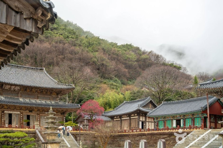 화엄사 여행 추천 - 메고지고
