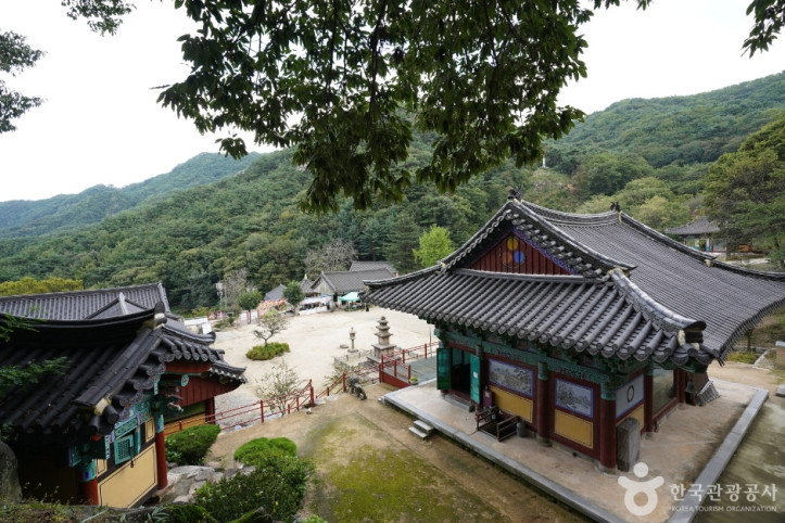 불굴사(경산) 여행 추천 - 메고지고