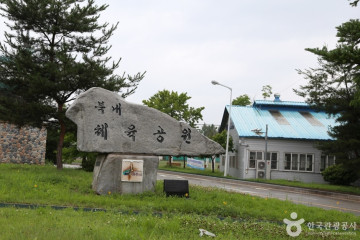 흥왕사 여행 추천 - 메고지고