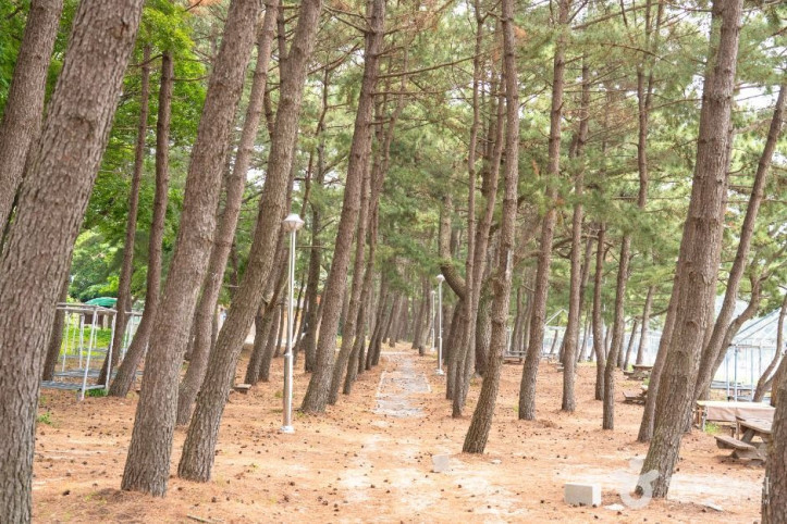 익금해수욕장 여행 추천 - 메고지고