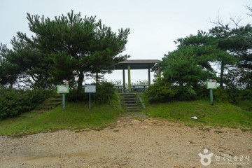 대난지도 여행 추천 - 메고지고