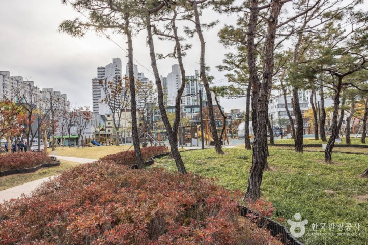 구로리어린이공원 여행 추천 - 메고지고