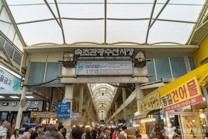 닭전 골목 여행 추천 - 메고지고