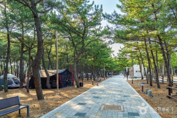 원생대 변성암 (경북 동해안 국가지질공원) 여행 추천 - 메고지고